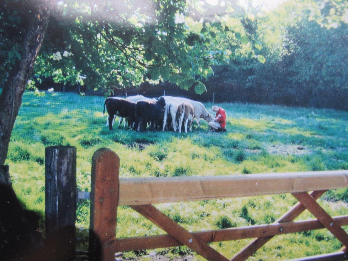 Corner Farm Bed & Breakfast Crewe Luaran gambar